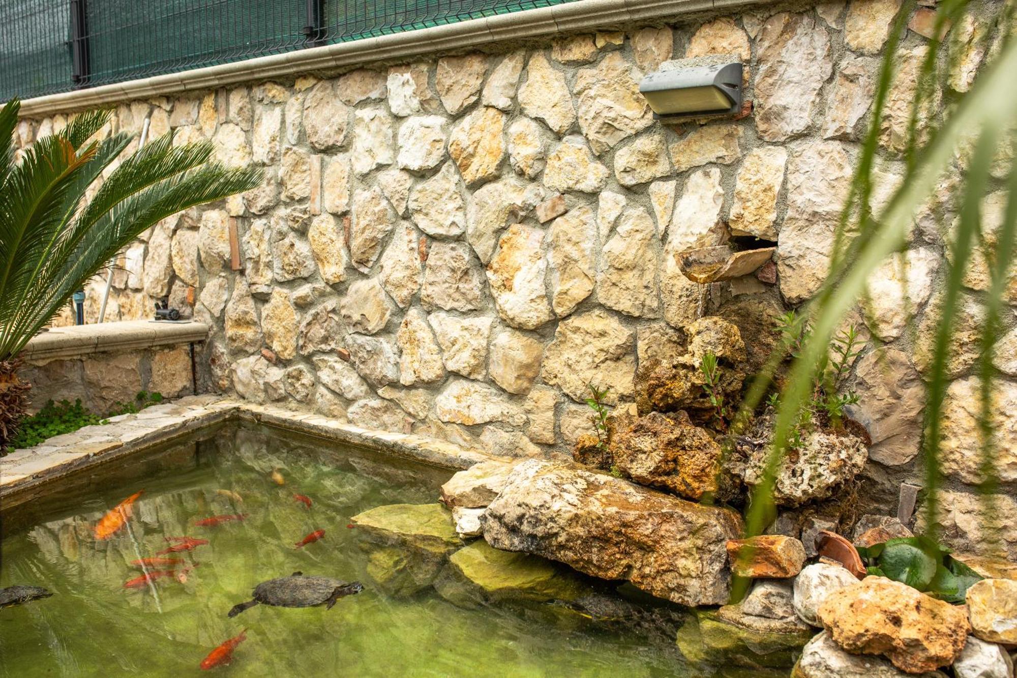 Green Oasis Gabella Castelforte Dış mekan fotoğraf